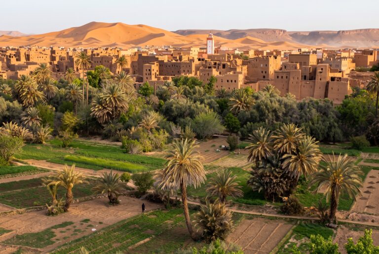 Illustration — palmeraie, ksar en terre et dunes du Tafilalet